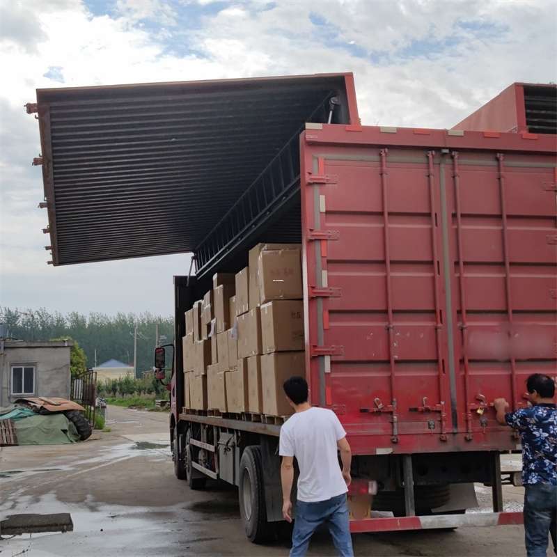 三亚市扎囊县：物流专线的高效货运之旅